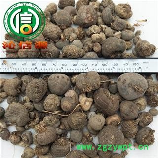 【满包邮】山慈菇大个子统货散装冰球子云南产地直供光慈姑、毛慈菇沁信源中药批发图2