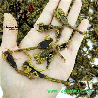 满包邮】全蝎 全虫 清水全干货500克起批 产地直供 邓氏尚品中药材批发图3