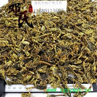 【满包邮】全蝎 全虫 盐水干货500克起批 产地直供 邓氏尚品材批发图2