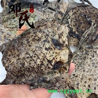 蟾皮 干蟾皮 蟾衣 癞蛤蟆皮 蟾蜍皮 统货 产地 辽宁省 邓氏尚品中药材批发图3