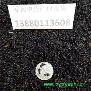 蚂蚁 黑蚂蚁大个 选货 产地 广西壮族自治区图4