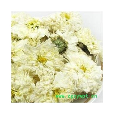 灵吉药业 杭菊花  道地药材  产地直销 批发零售各种规格中药材 花草类 矿石类 冷背珍稀野生药材