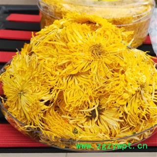 菊花 金丝皇菊 一杯一大朵 味道好 色泽佳图2
