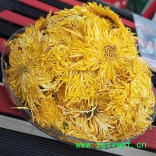 菊花 金丝皇菊 一杯一大朵 味道好 色泽佳图4