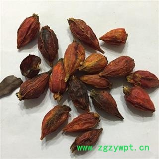 新辉药业正品栀子 江西红栀子图2