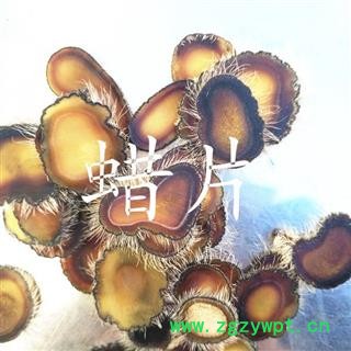 人工驯养鹿茸 梅花鹿茸全蜡片 产地 吉林省白山市抚松县图2