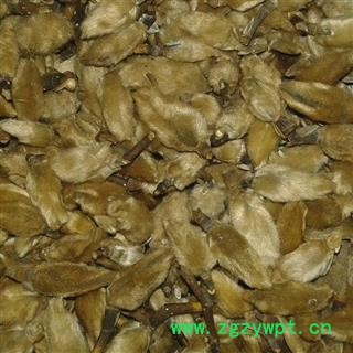 辛夷花 统 产地 河南省平顶山市汝州市图2