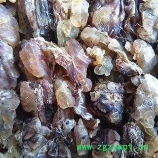 林蛙 林蛙油，大块，90干 产地 吉林省白山市抚松县