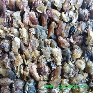 林蛙 林蛙油，大块，90干 产地 吉林省白山市抚松县图2