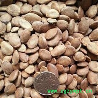 新辉药业中药材瓜蒌子 单边瓜蒌子图2