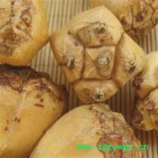 问心堂药业供应中药材山菠萝滴血莲花样菩提 莲花样图2