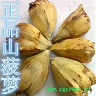 问心堂药业供应中药材山菠萝滴血莲花样菩提 莲花样图3