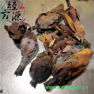 厚朴花B 川朴花 厚朴花选货 产地 四川省图2