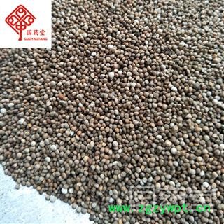 紫苏子 苏子 净货 新货 国药堂 专注品质 产地 山东省图2