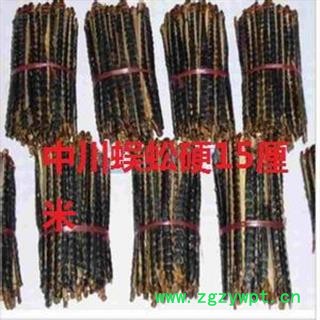 野生蜈蚣   硬15厘米   产地湖北图3