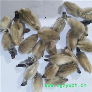 辛夷花 辛夷大桃统货 产地 河南省图2