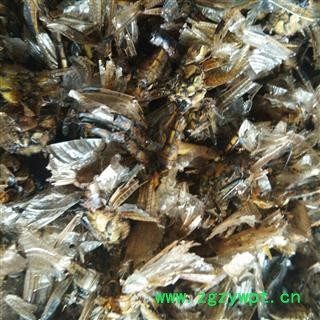 京辉药业 蜻蜓 红蜻蜓 蜻蜓干 新货图2