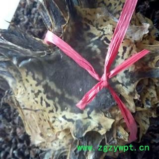 京辉药业 正品蟾皮干蟾蜍皮癞蛤蟆皮纯皮14-17cm50张包邮图3