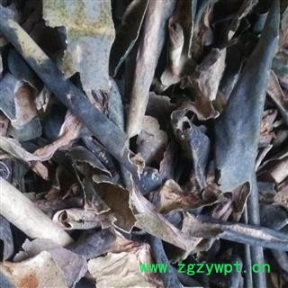 冬瓜皮 统 国药堂 专注品质 产地 山东省图2