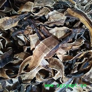 地龙 海南地龙次全开个 产地 海南省图4