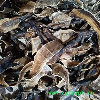 地龙 海南地龙次全开个 产地 海南省图3