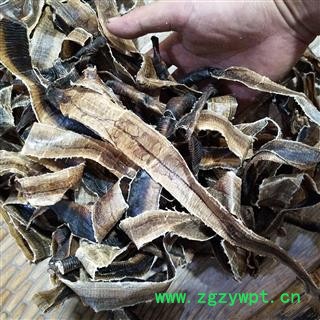 地龙 海南地龙次全开个 产地 海南省图2