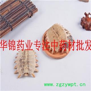 鳖甲 鳖甲陈货统货货很干净无杂质实物拍摄 产地 山东省图2