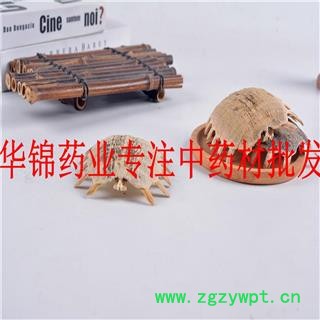 鳖甲 鳖甲陈货统货货很干净无杂质实物拍摄 产地 山东省图3