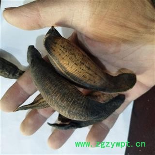 水蛭 沙水蛭统货 产地 江苏省图4