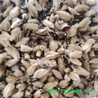 辛夷花 辛夷大桃统货 产地 安徽省图2