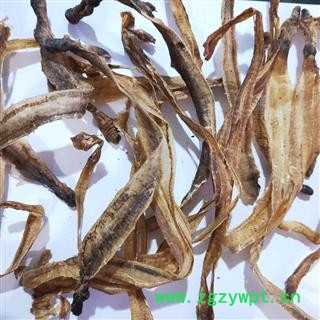 地龙 小地龙全开货 产地 上海市图3