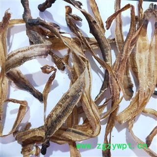 地龙 小地龙全开货 产地 上海市图2