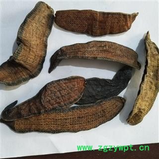 新到淡矾水蚂蟥水蛭。货淡质量一级好，价格合理，货物纯干纯干的图4