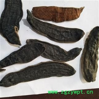 新到淡矾水蚂蟥水蛭。货淡质量一级好，价格合理，货物纯干纯干的图2