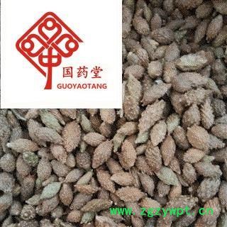 苍耳子 统 产地 内蒙古自治区 国药堂 专注品质图2