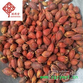 栀子 实物拍摄 统 国药堂 专注品质 产地 福建省图2