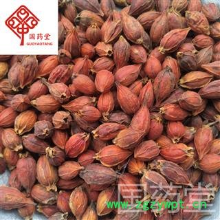 栀子 实物拍摄 统 国药堂 专注品质 产地 福建省图3