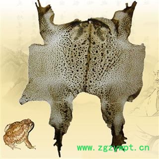 煜庭药材 蟾皮 优质 返现进行中图4