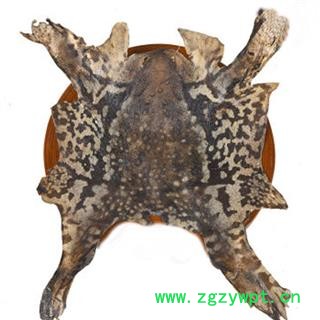 煜庭药材 蟾皮 优质 返现进行中图2