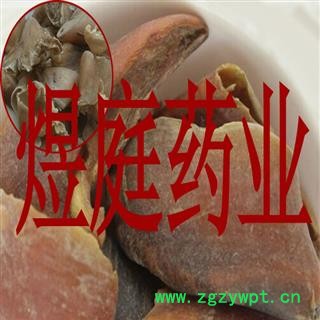 煜庭药业 猪蹄甲 生猪蹄甲图4