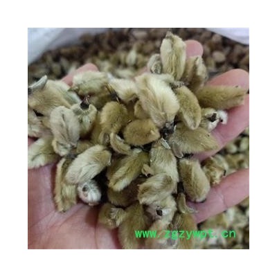 辛夷花 选货 产地 甘肃省 小影全品类中药材店铺