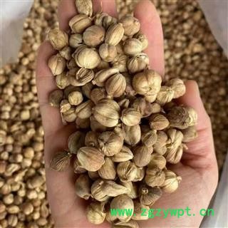 白豆蔻 白蔻 统 2021 产地 广西壮族自治区玉林市玉州区图3