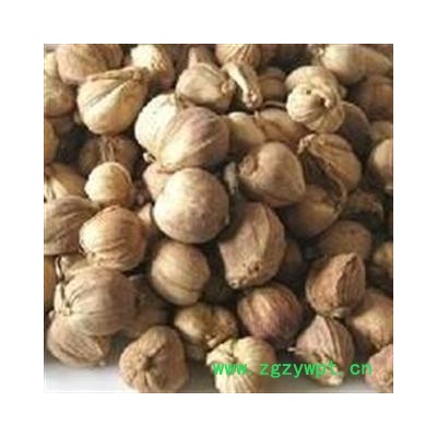 白豆蔻 白蔻 统 2021 产地 广西壮族自治区玉林市玉州区