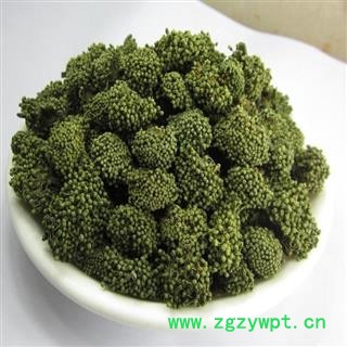 三七花 统货 产地 云南省图2