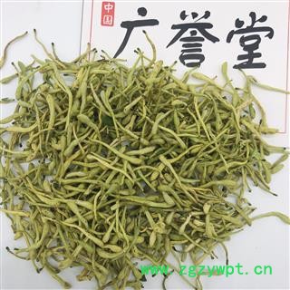 金银花 统 产地 山东省图3