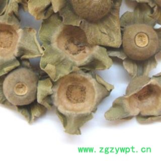 青柿蒂 柿蒂 青 产地 安徽省亳州市谯城图2