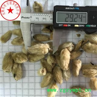 辛夷花 辛夷大桃精选货 产地 河南省图2