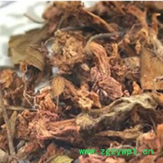 杜鹃花 黄杜鹃花 药用 统 产地 湖北省荆门市市辖区图3