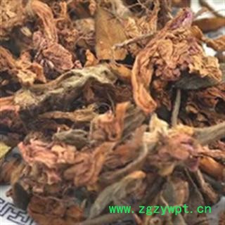 杜鹃花 黄杜鹃花 药用 统 产地 湖北省荆门市市辖区图2