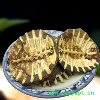 鳖甲 鳖甲统货 产地 重庆市县巫山县图3